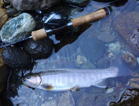 渓流釣りでクマと遭遇 ～九頭竜川水系～